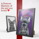 Framed pet portrait with a rainbow background and text 'A Forever Memory of the pet you loved' on a red and white background.