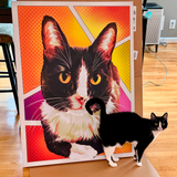 Black and white cat standing next to a large framed picture of a similar cat on a wooden floor.